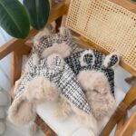 کلاه خلبانی شنل