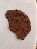 کلاه لئونی قلاب بافی شکوفه - Image 11