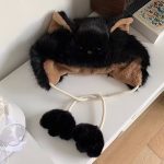 کلاه خز گربه - Image 7